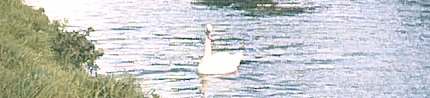 on the canal