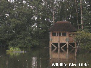 Wildlife Bird Hide