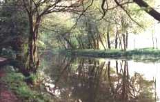 Leomansley
Pool