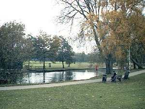 Beacon
Pool